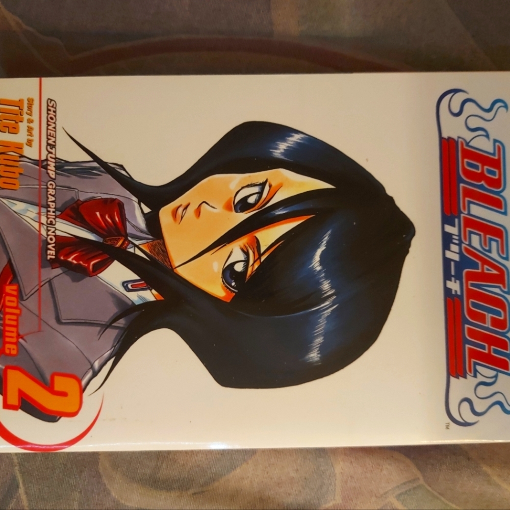 Bleach vol. 2 manga